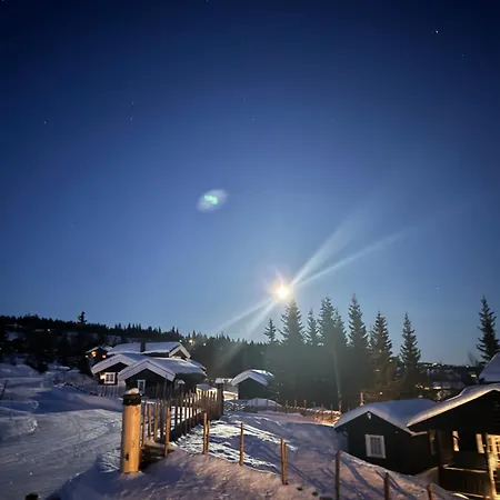 Skeitunet 펜션 Svingvoll