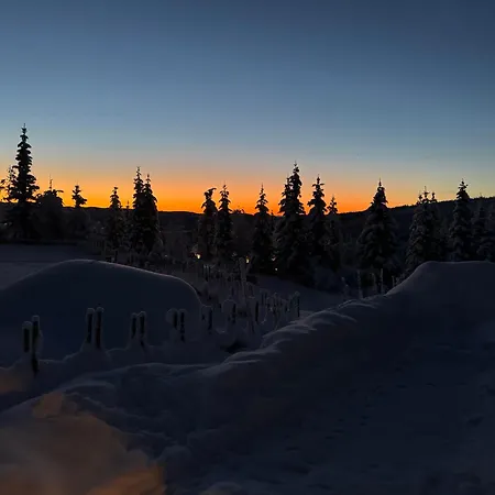 Skeitunet * Svingvoll