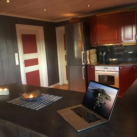 Skeitunet 펜션 Svingvoll