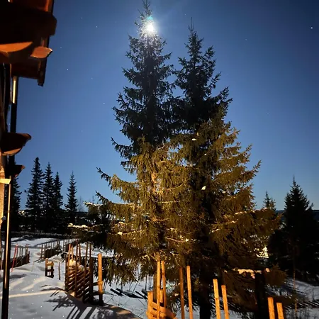 Prázdninový dům Skeitunet Svingvoll