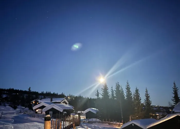 Skeitunet Ferienhaus Svingvoll