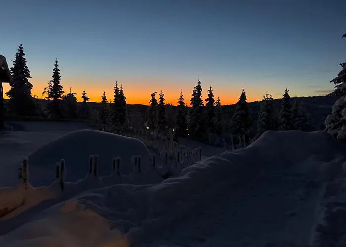 Skeitunet * Svingvoll