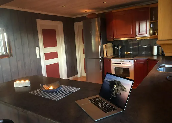 Skeitunet Ferienhaus Svingvoll