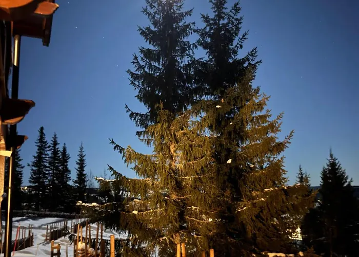 Ferienhaus Skeitunet Svingvoll