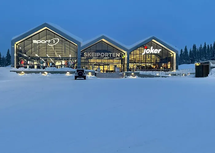 Skeitunet Ferienhaus Svingvoll